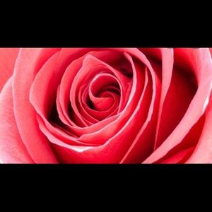 🌹 NWT Feminine Dresses & Jumpsuits